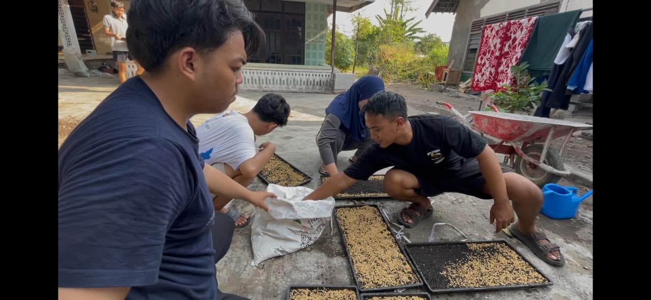 Praktik Penyemaian Bibit Padi Media Tray Program SEMBADA Desa Gongseng